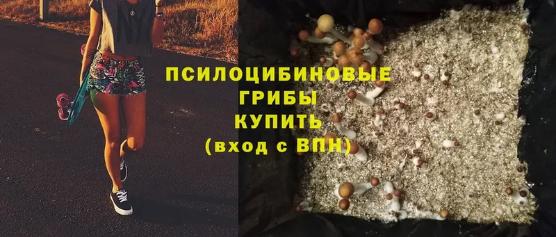 Галлюциногенные грибы MAGIC MUSHROOMS  что такое наркотик  Кузнецк 